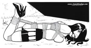 annisbondage.com - Bondage Art 0495 thumbnail
